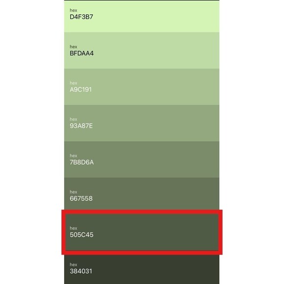 Saint Germain Petite Size Large Sage Green Shirt Studded Button Up Made In USA - Picture 7 of 7